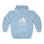 Telluride Sports Vintage Hoodie