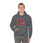 Braves Logo Hoodie