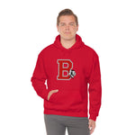 Braves Logo Hoodie