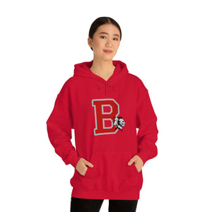 Braves Logo Hoodie